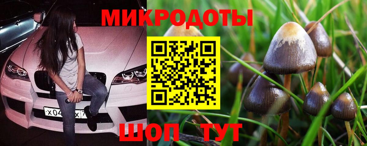 Галлюциногенные грибы мухоморы Сочи